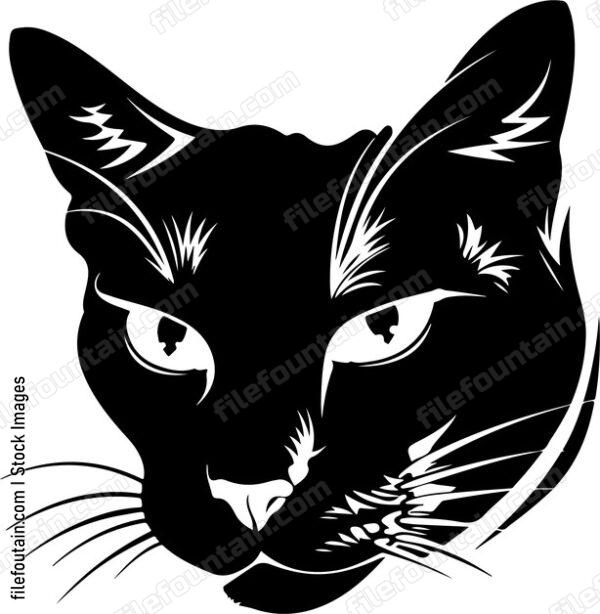 Cat Face