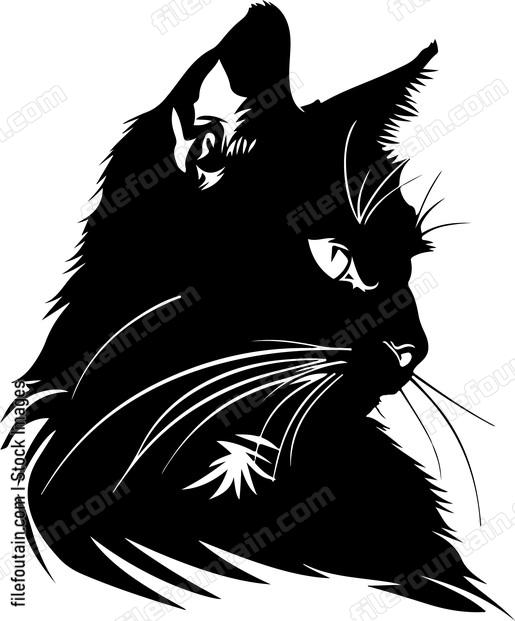 Cat head profile