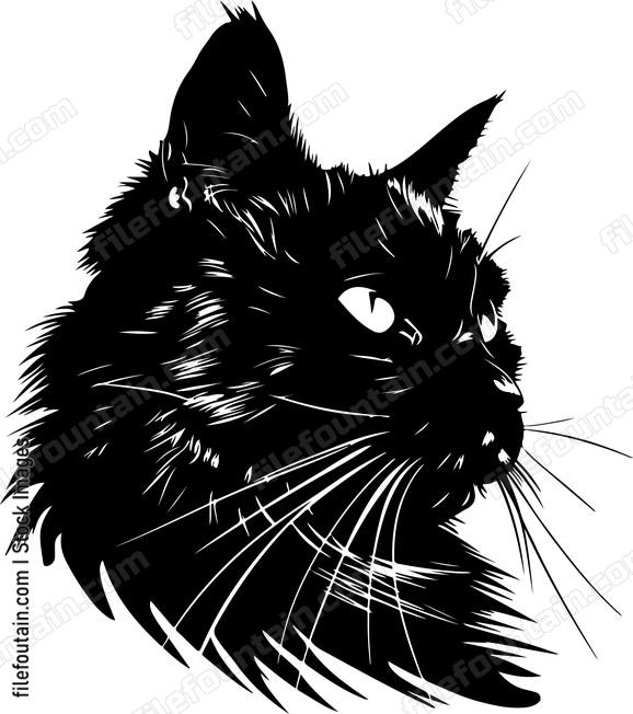 Cat Looking