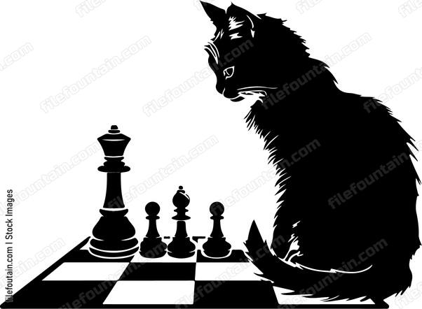 Cat Playing Chess