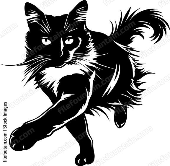 Cat Running