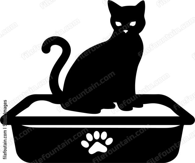Cat sitting in litter box