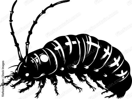 Caterpillar