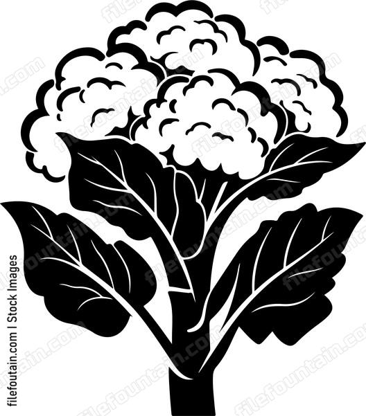 Cauliflower