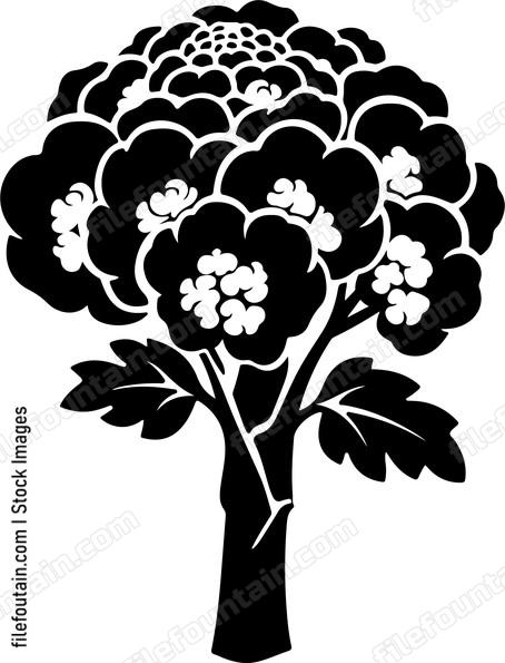 Cauliflower