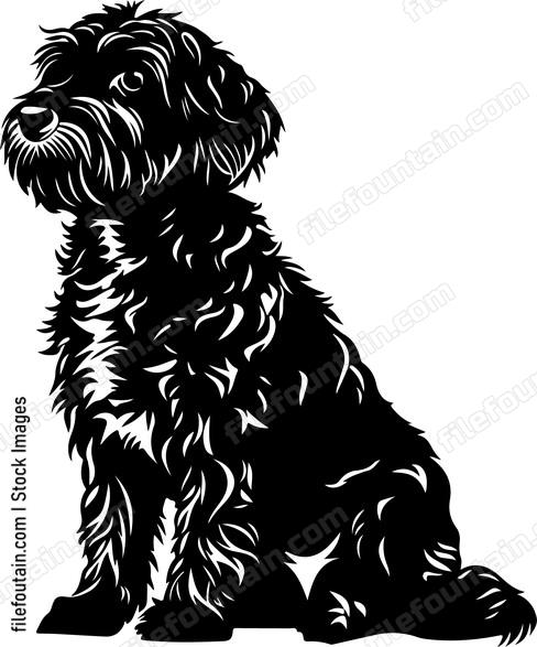 Cavoodle Dog