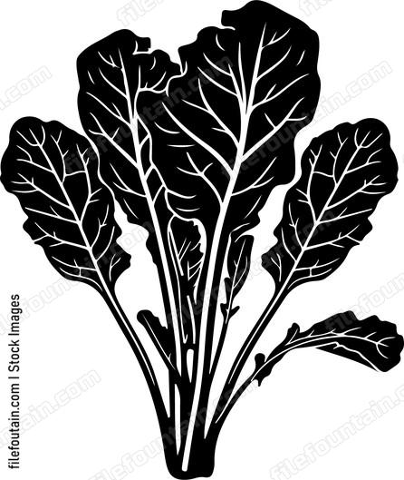 Celtuce