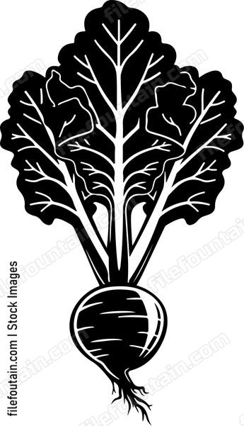 Celtuce