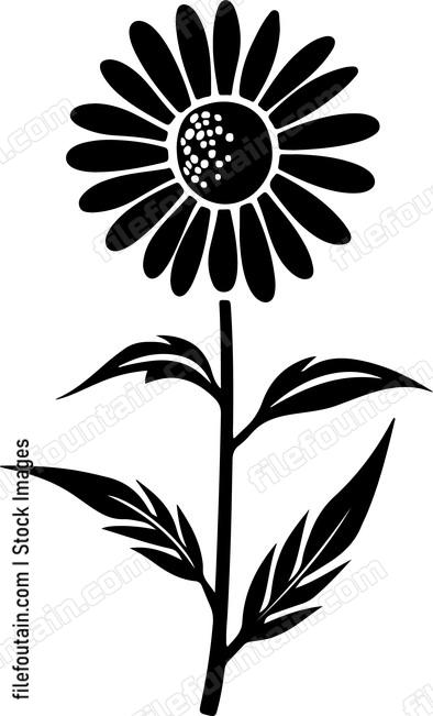 Chamomile