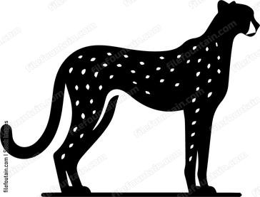 Cheetah