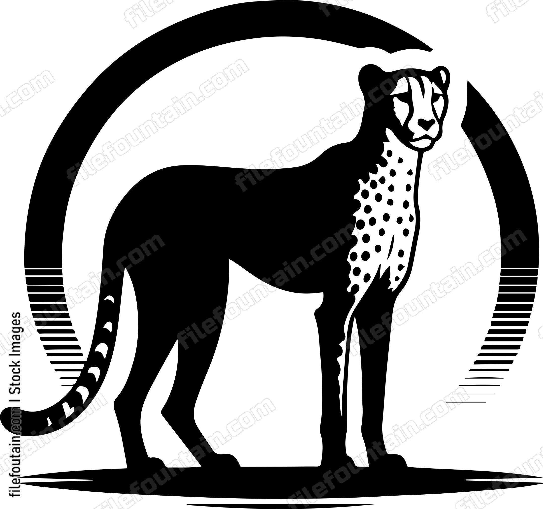 Cheetah