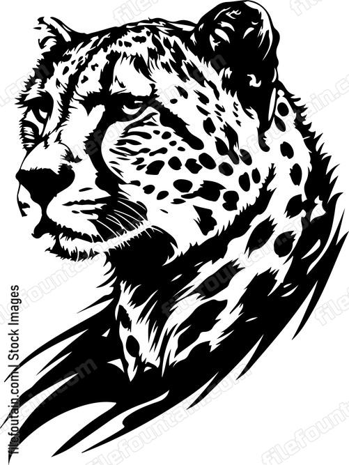 cheetah head