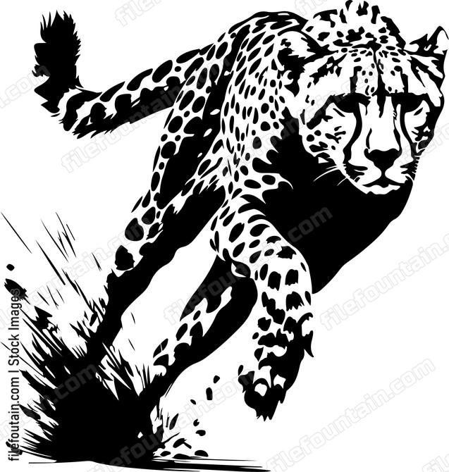 Cheetah Running
