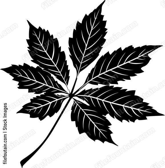 Chestnut Leaf