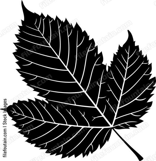 Chestnut Leaf