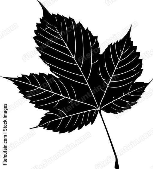 Chestnut Leaf