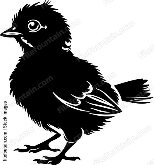 Chick