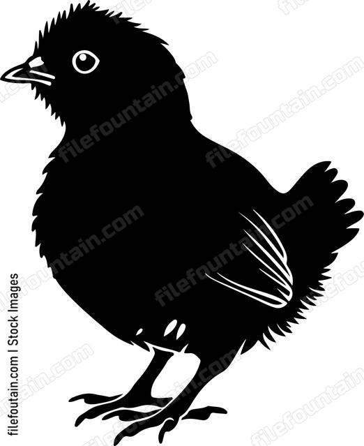 Chick