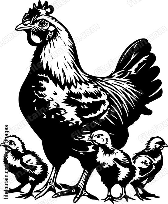 Chicken And Chicks