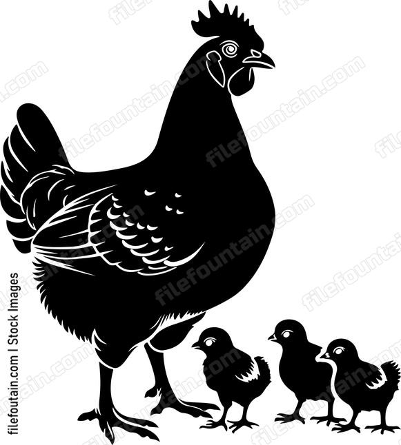 Chicken And Chicks