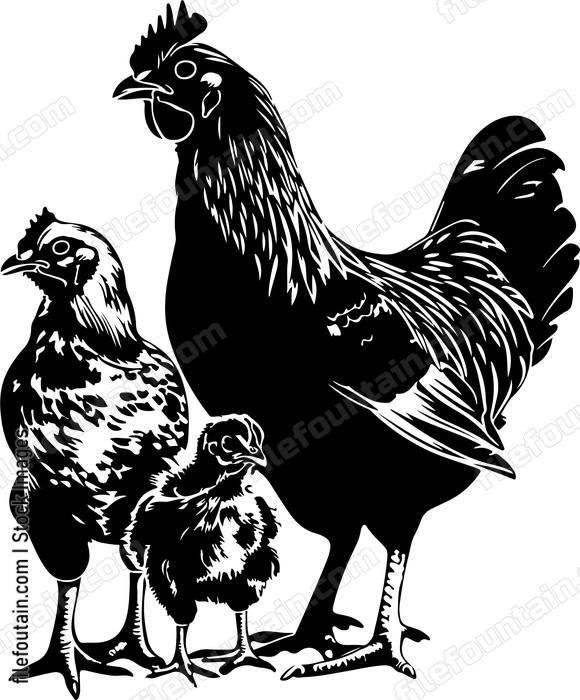 Chicken Family