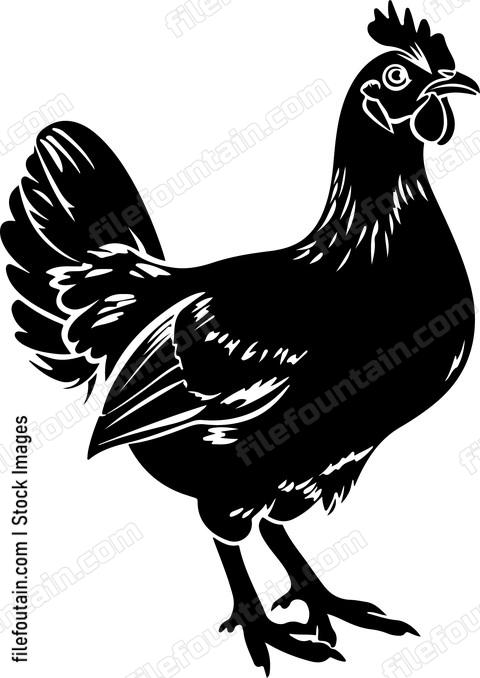 Chicken in simple art style