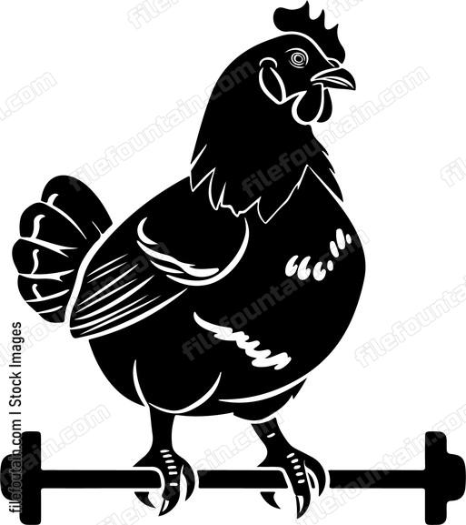 chicken sitting on a pole