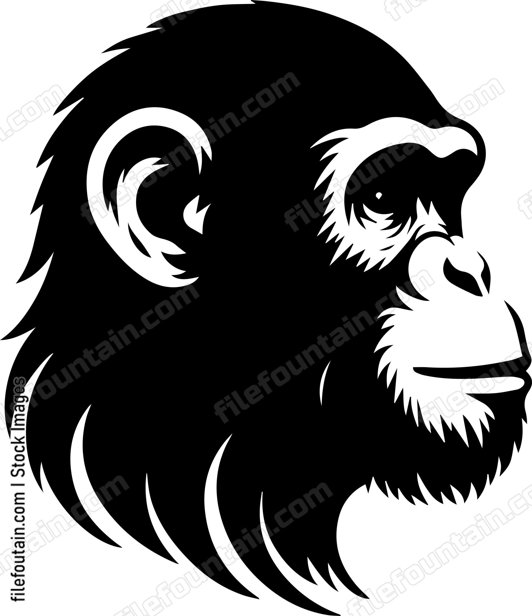 Chimpanzee