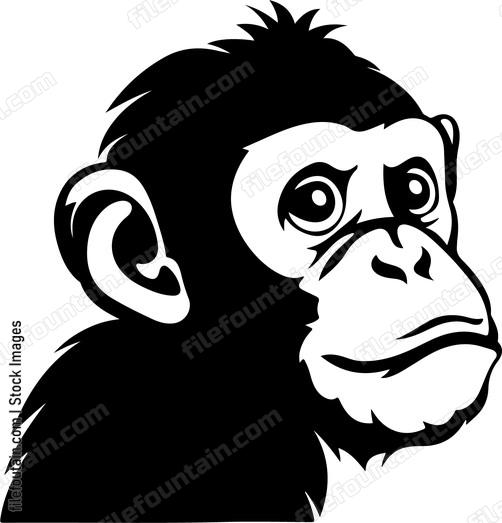 Chimpanzee animal head