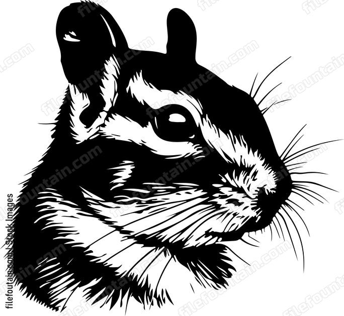 Chipmunk Head