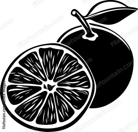 Citrus fruit