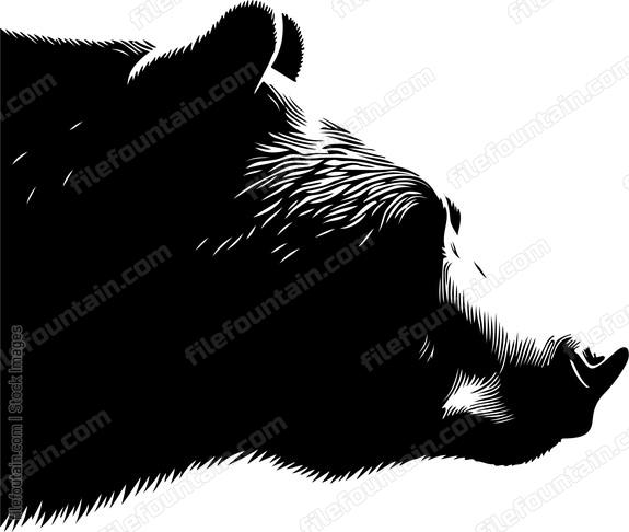 Close up of a bears snout sniffing the air