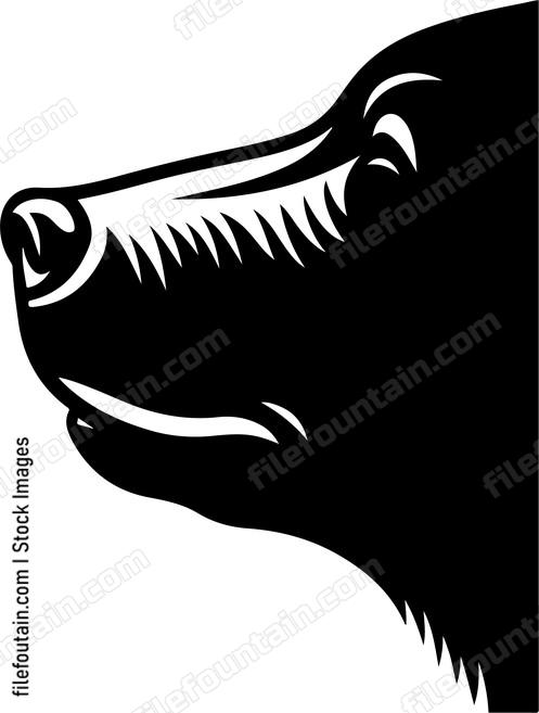 Close up of a bears snout sniffing the air
