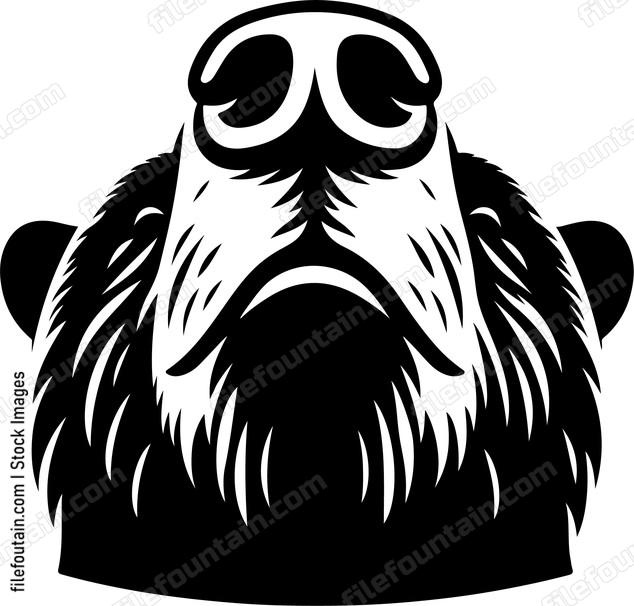 Close up of a bears snout sniffing the air