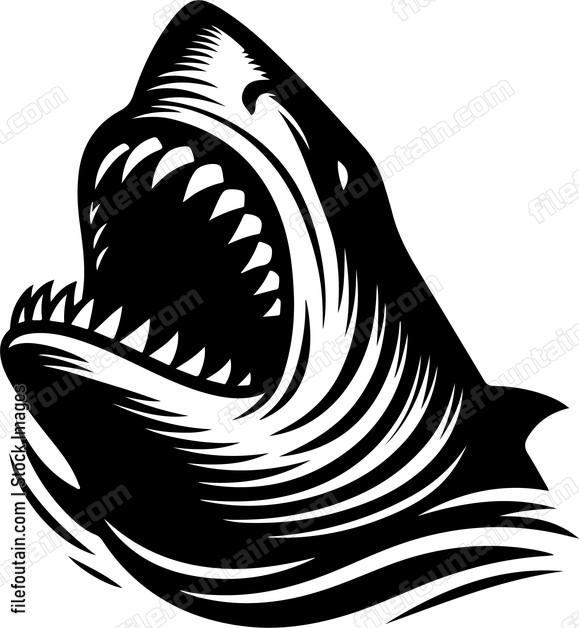 Close up of a sharks powerful jaws