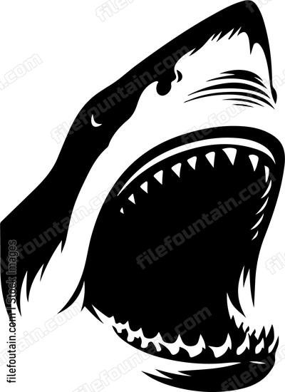 Close up of a sharks powerful jaws
