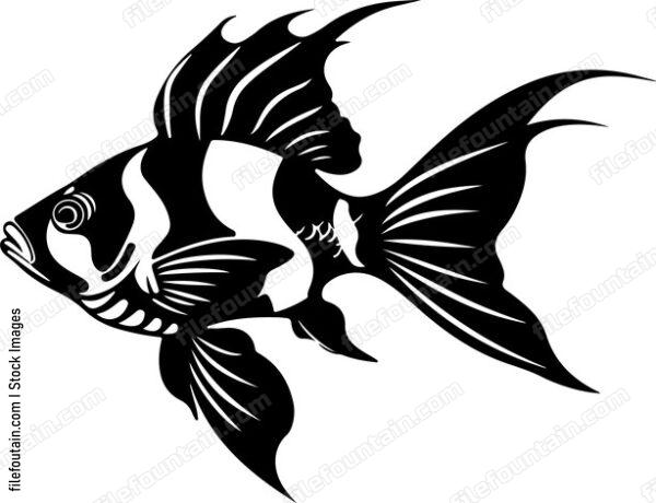 Clown Pleco