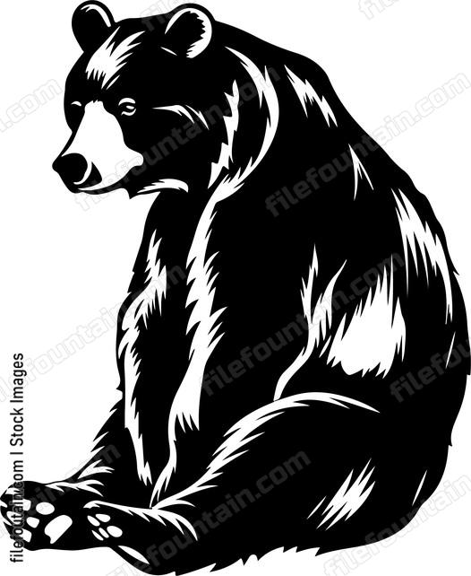 Clumsy Bear Sitting