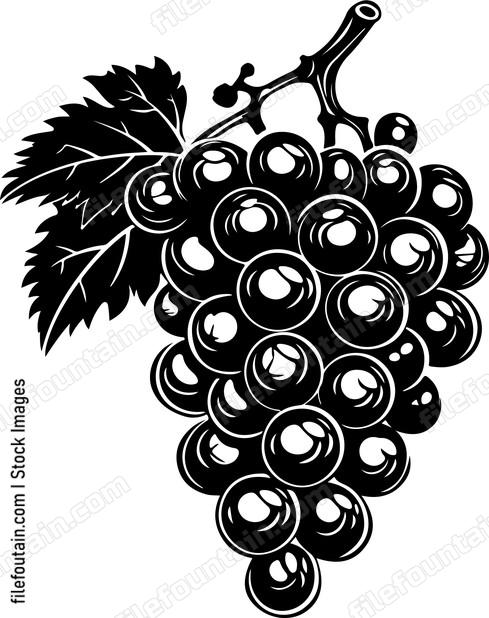 Cluster Of Grapes