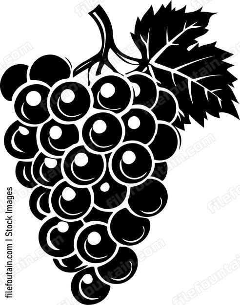 Cluster Of Grapes