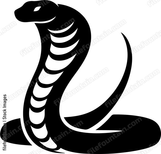 Cobra