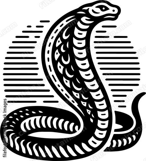 Cobra