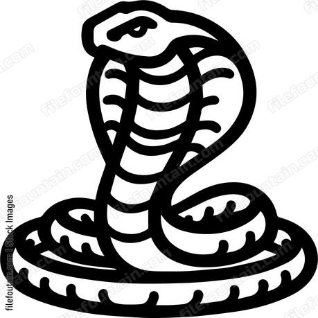 Cobra