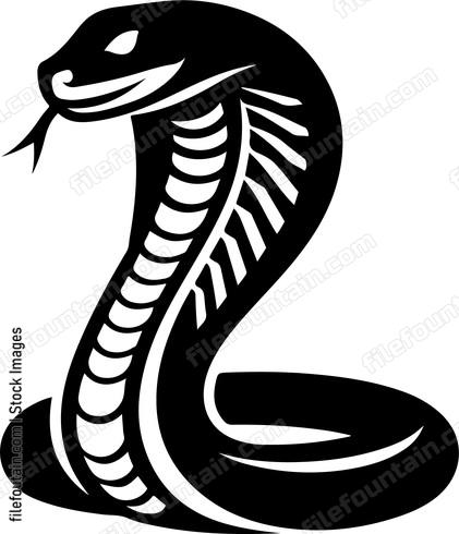 Cobra