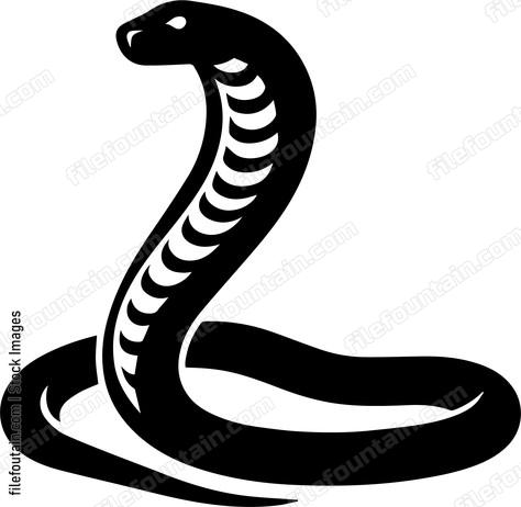 Cobra