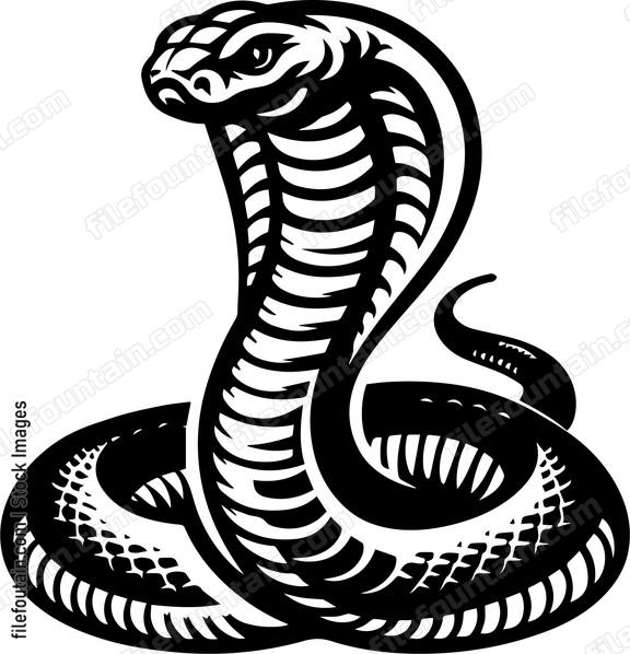 Cobra
