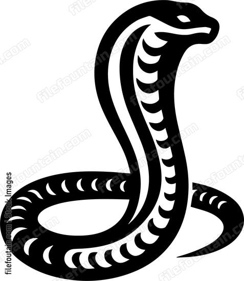 Cobra