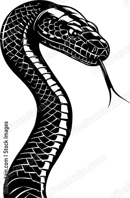 Cobra Snake