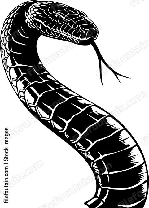 Cobra Snake