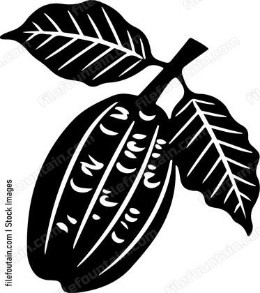 Cocoa